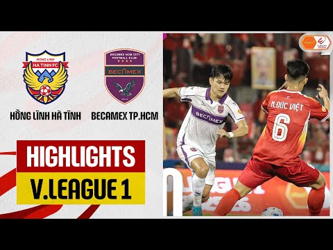 bg-highlight