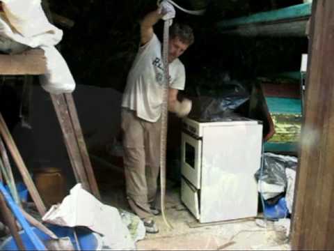 Two people One dream