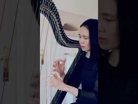 Tomas Kovacs, Terry Joiner - Bundle of Joy (harp cover short)