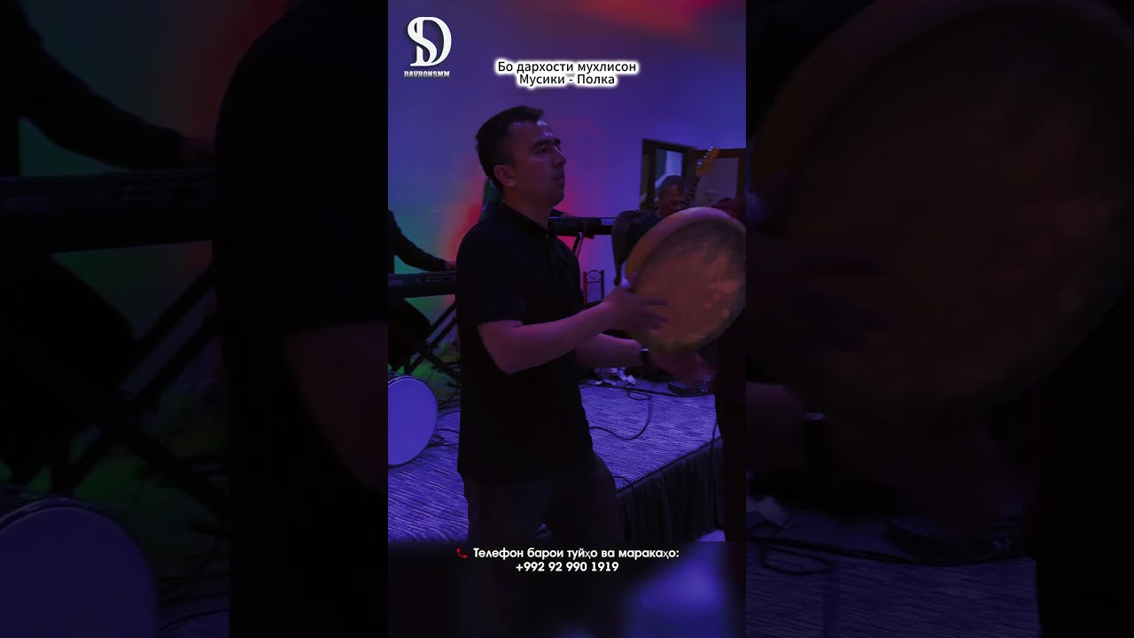 Полка (музыкант)