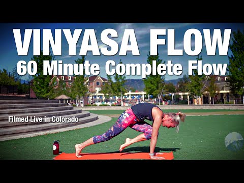 60 Minute Well Rounded Vinyasa Flow Yoga Class - Five Parks Yoga