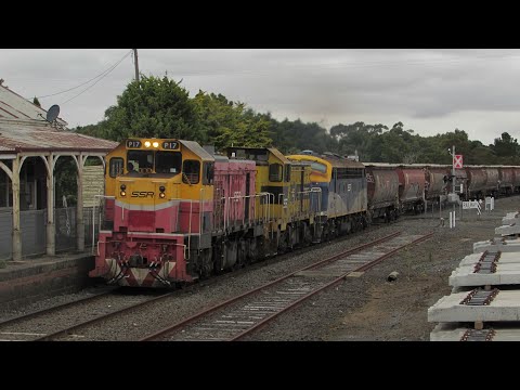 Rare Daylight SSR 9157 Grain Train With P17 T363 B80 Seen Here At Meredith (5/2/23)