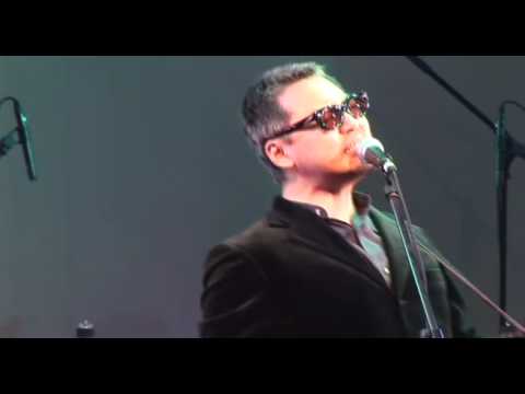 Steely Shodan plays 'Black Cow' (Steely Dan)