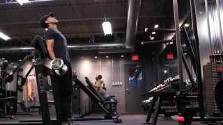 Bicep DB Curls strict 1