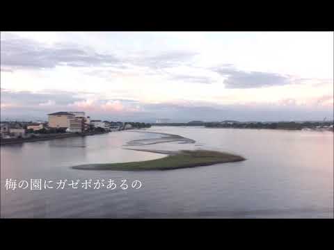 Interviewer/Interviewee