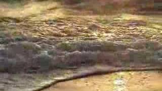 Video - Cologne Cerrone Houdini - GOLDFRAPP