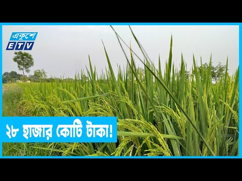 আন্তর্জাতিক বাজারে সারের অস্বাভাবিক মূল্যবৃদ্ধি