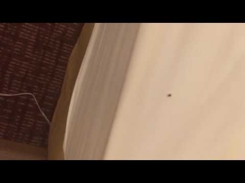 Courtyard Atlanta Airport South - 8/13/201