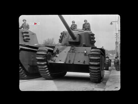 ARL 44