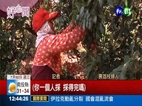 幫幫罹癌婦! 網友號召採購荔枝