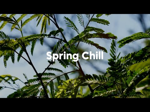 Spring Energy Mix 🌱 Uplifting Chill Tracks for Positive Vibes