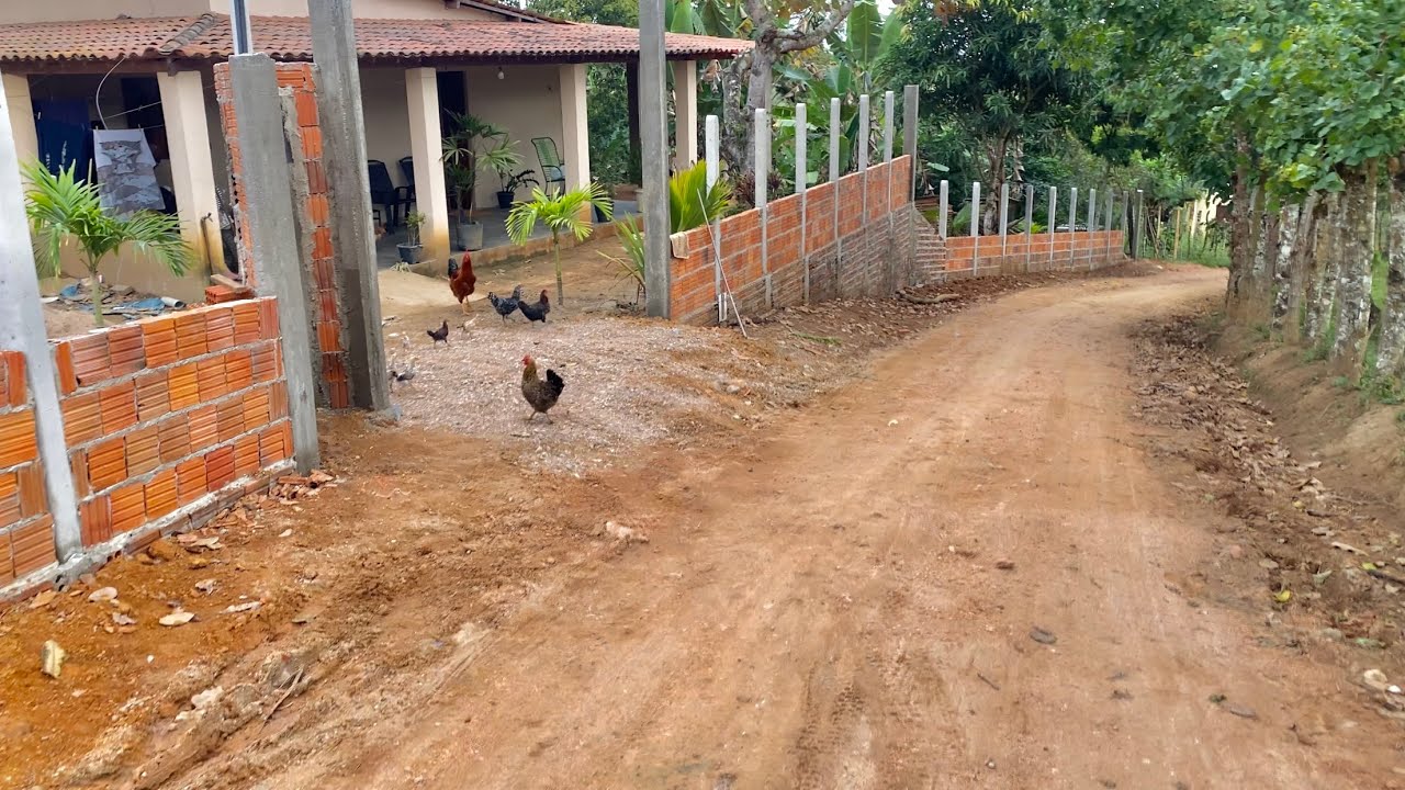 TIVE QUE CORRER PRA SALVAR NOSSA GALINHA COM SEUS PINTINHOS DO GAVIÃO!!!