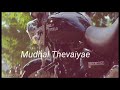 Namma Siragugalae Song Simpu Status Video Boys Additive Video
