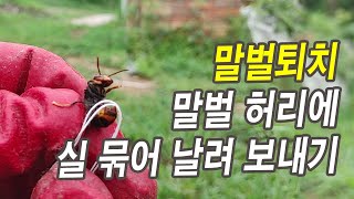 골칫거리 말벌, 신박하게 퇴치합시다.