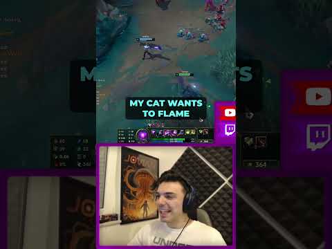 When You Have Yuumi Buff in Real Life