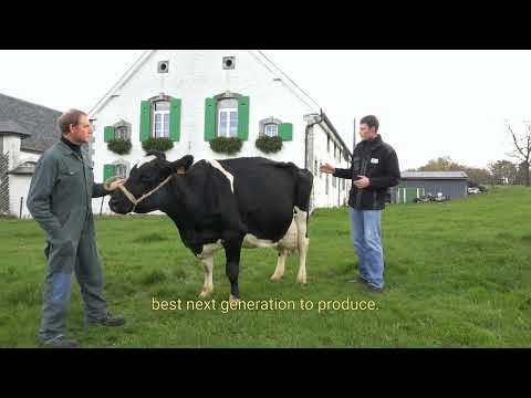 Marc Cranshof German Demonstration