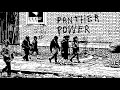 Panther Power - Paris