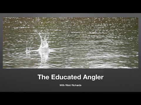 Asch Experiment - The educated Angler