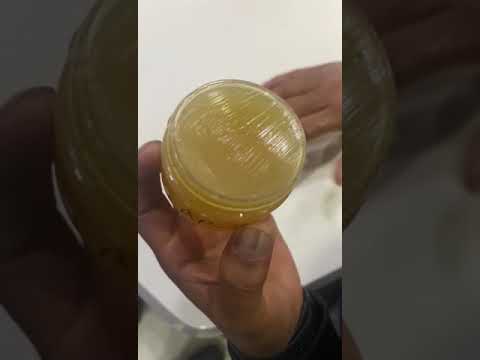 Deronex AP3 Grease