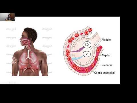Diferença entre PaO2 e SpO2