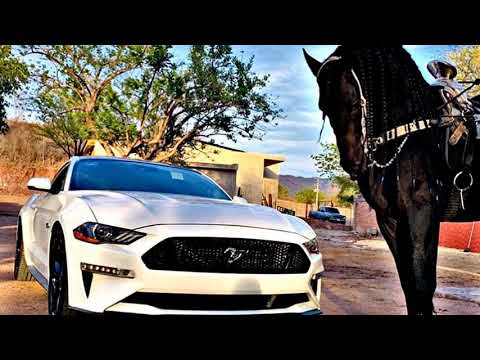 Soy Carranza - Gustavo Palafox ft Hijos De Leyva |EPICENTER|