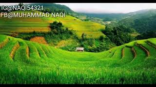 Download lagu NELLA KARISMA-MEMORI BERKASIH mp3