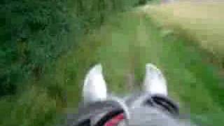 a canter on my horse