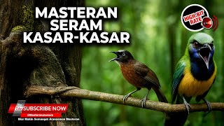 Download lagu 🔴 Kompilasi Masteran Ngetik Ngekek Nembak Materi Cucak Cungkok Gacor dan Tepus Kepala Abu Gacor mp3