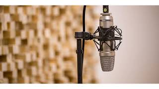 Axel Rudi Pell - Under The Gun (vocals backing track)