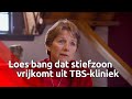 'Hij kan mij vermoorden', Loes Soepnel is bang dat haar stiefzoon vrijkomt na moord op zijn vader