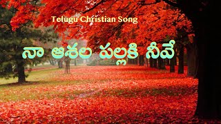 Naa aashala pallaki