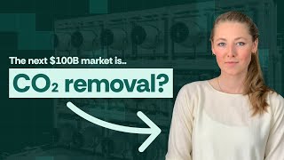 This $100B Market Could Save Our Planet (Carbon Removal)