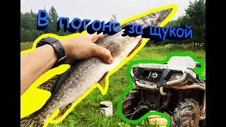 Рыбалка на реке кача красноярский край