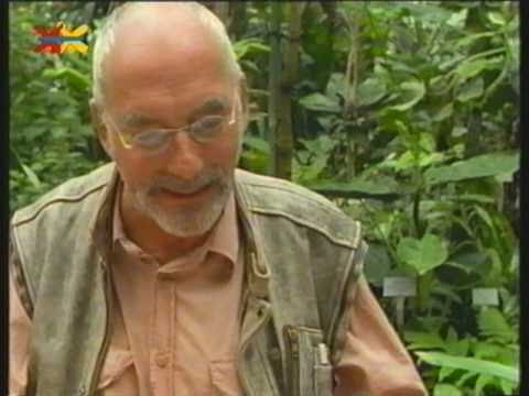 Mittendrin in der Regenwaldabteilung Folge 30 Teil 1