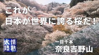 吉野山　日本さくら名所100選