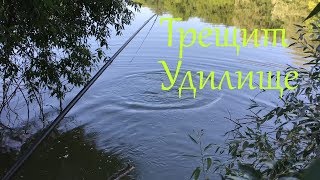 Удилище для ловли карпа на кивок