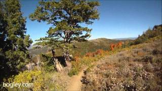 preview picture of video 'Lewis Peak from Pineview - Skyline Trail Utah GoPro HD'