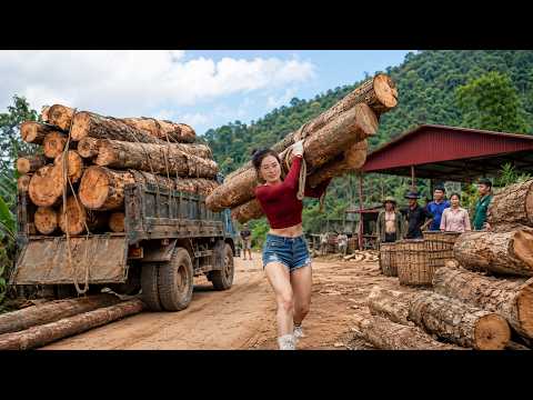 Vendiendo camiones viejos y comprando nuevos | Transporte eficiente de leña | Vida en la granja