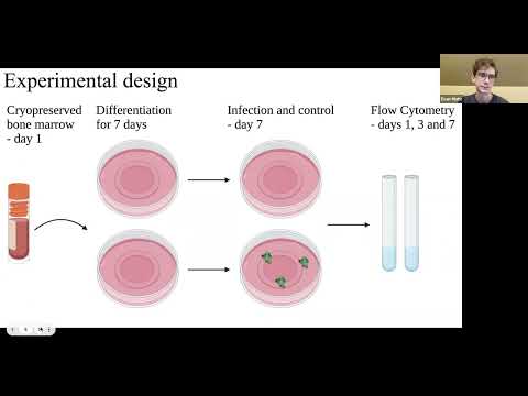 <p><em style="color: rgb(0, 0, 0);">Lair1</em><span style="color: rgb(0, 0, 0);"> expression during bone marrow-derived macrophage differentiation and infection</span></p>