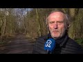 Worden honden in het Kralingse Bos straks verplicht aan het lijntje gehouden?
