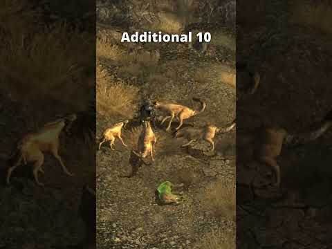 What Does Each Rex Brain Do in Fallout: New Vegas?