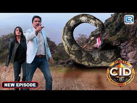 CID Team निकली एक Wild और Risky Adventure पर | CID | सी.आई.डी | Episode 1183