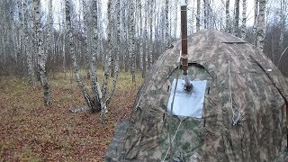 Ссылка