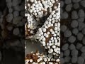 Almora Ki Bal Mithai Almora Mithai India Indian Sweet Food Cuisine Song Dessert Pahadi