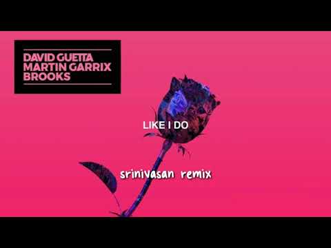 David Guetta, Martin Garrix and Brooks - Like I Do (Srinivasan Remix)