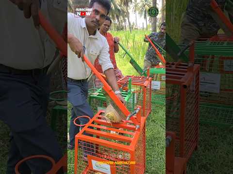 Amazing Tender Coconut Cutting and Punching Machine