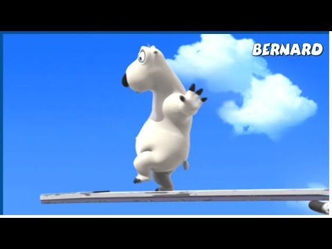 DIVING BOARD | Bernard  | 90' Compilation | Cartoon for Kids