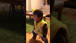 雑草/ヒカキン＆セイキン踊ってみた！