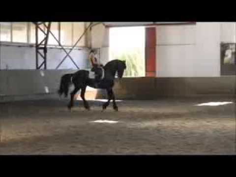 Aiso, Pillanatképek 1-2.