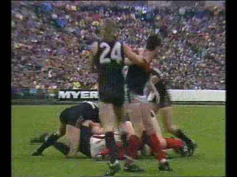 VFL Football Preliminary Final 1988 - Carlton v Melbourne